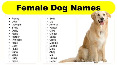 unique strong female dog names|intimidating girl dog names.